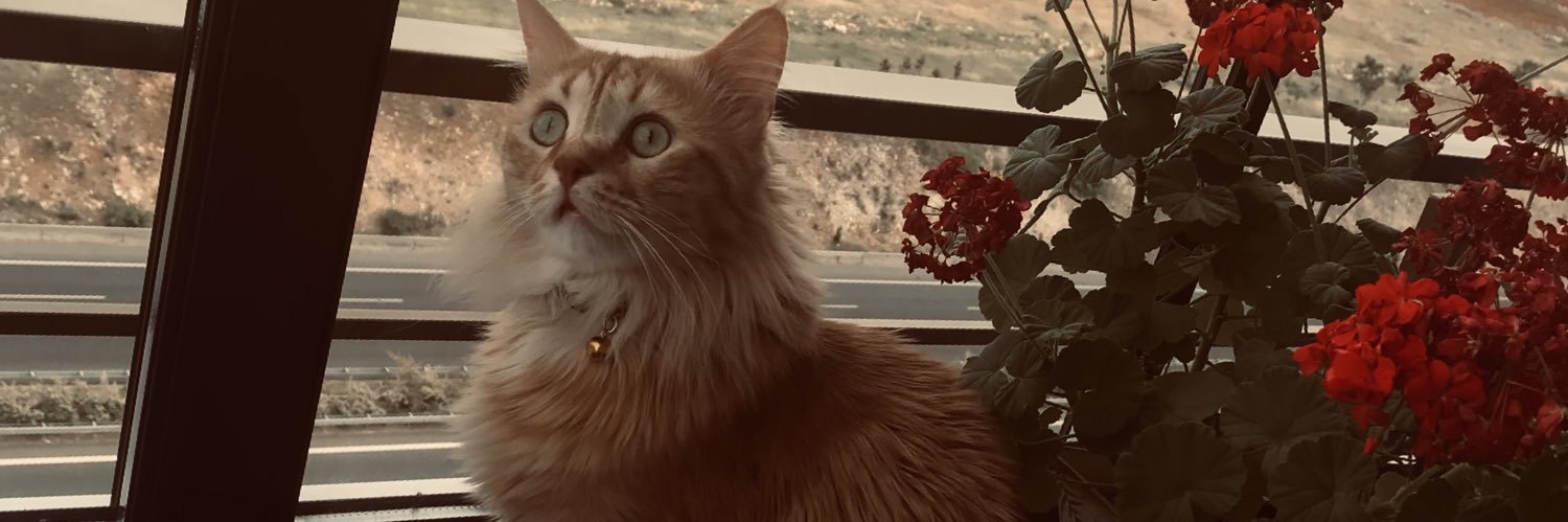 HlyZkan's profile banner image