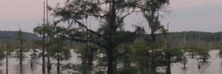 Madeline Brooke banner