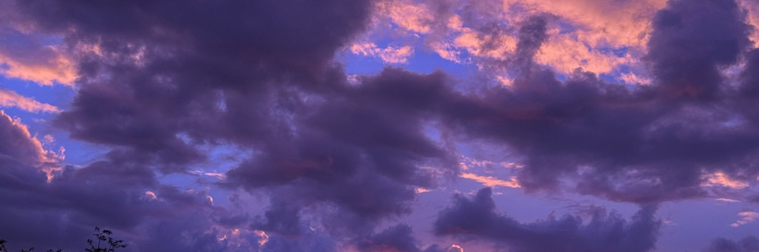 blvckfrenchie's profile banner image