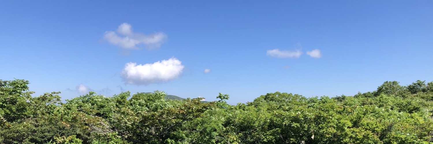 bell1212's profile banner image