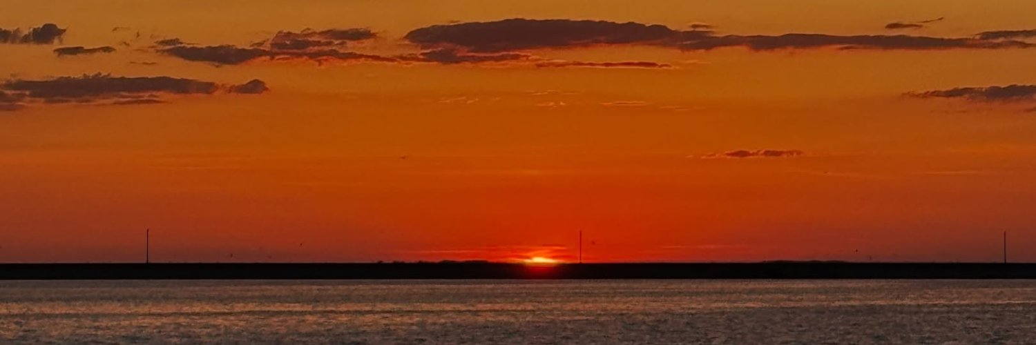 DavisLuAnn's profile banner image