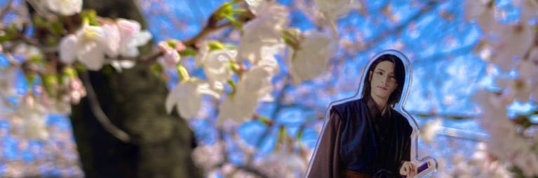 alice ✿ banner