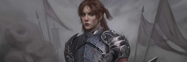 PaladinFeora Profile Banner