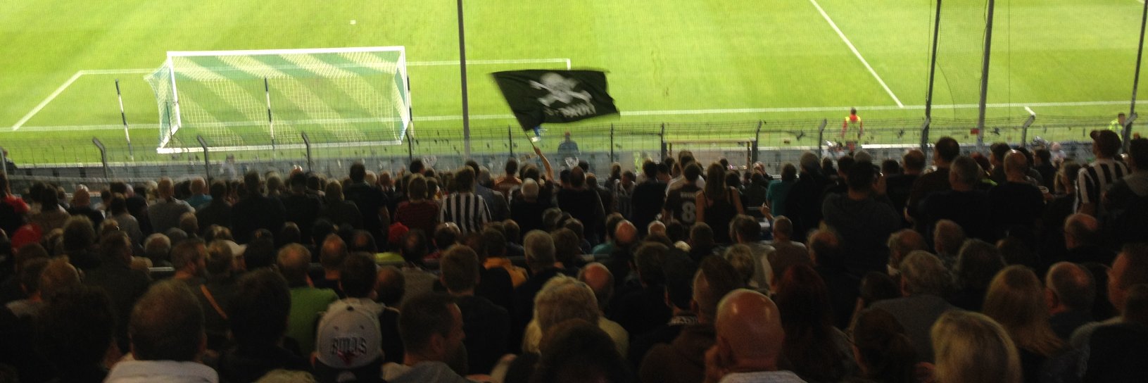 Nicolas Perrin banner