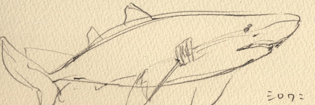 nuwasu1's profile banner image