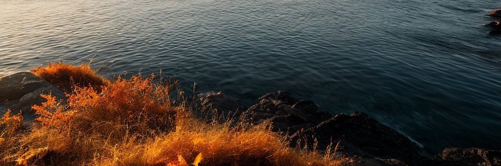 saba_misonuki's profile banner image