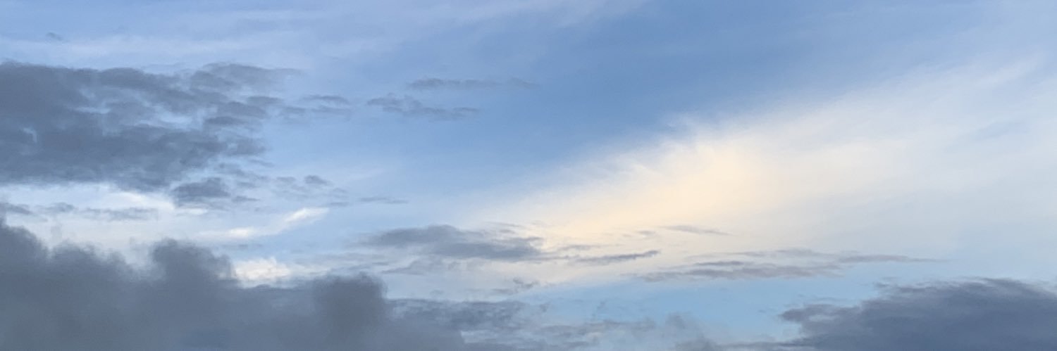 bunny ᙏ̤̫ banner
