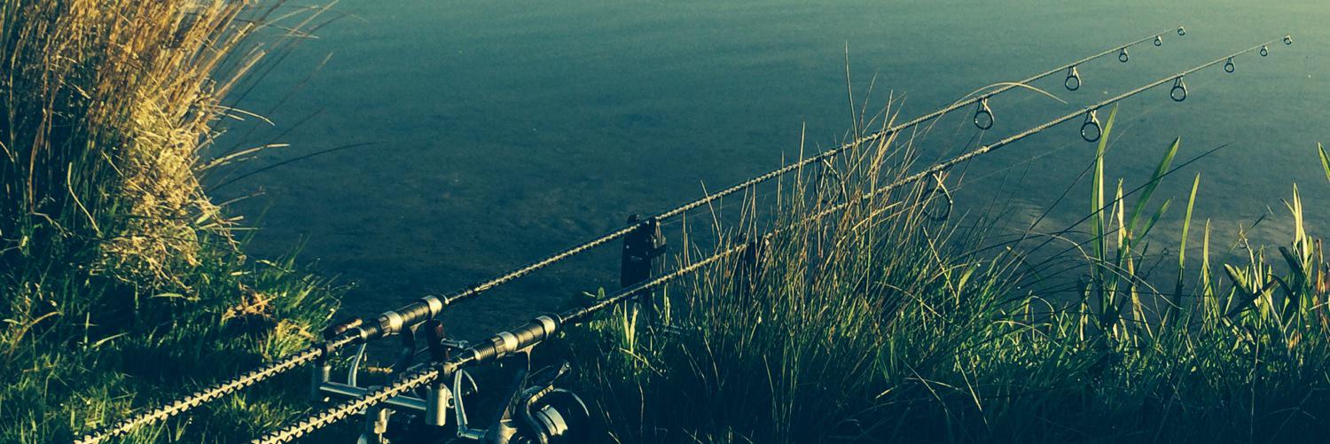 MattMoors11's profile banner image