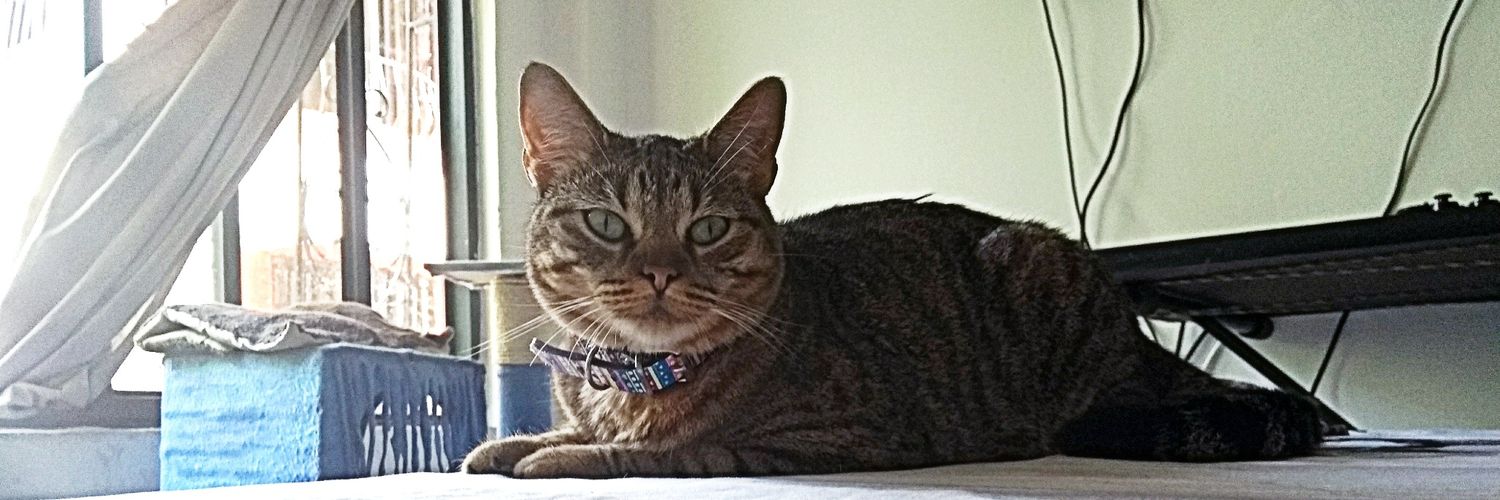 Catalina García² banner