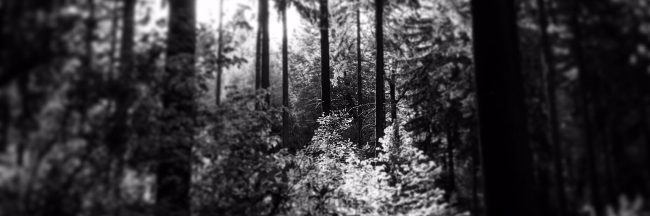 Christian Scholz @mrtopf@mastodon.social banner