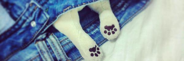 cocoism Profile Banner