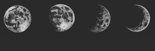 Lunar_Luster Profile Banner