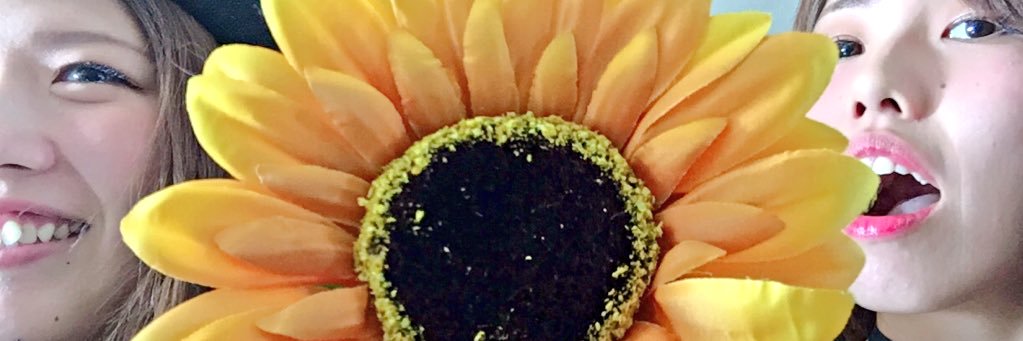 sqcchannn's profile banner image