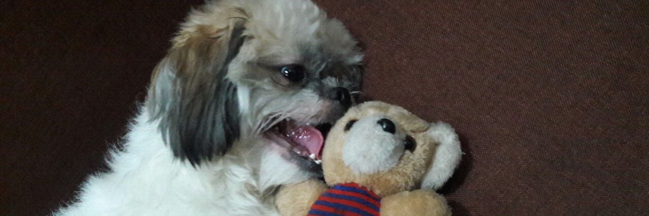 🎀 C (シージェイ) banner