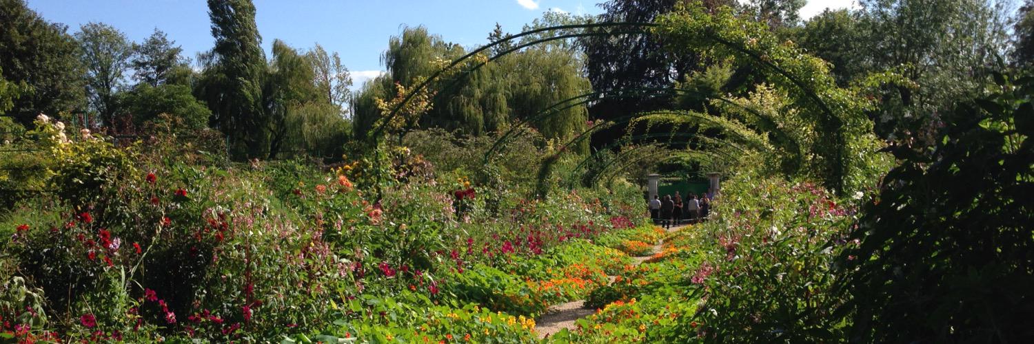 Donna Zarcone banner