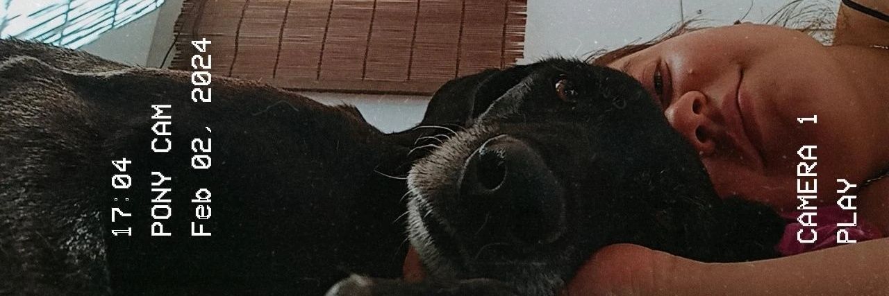LuliGuiru's profile banner image