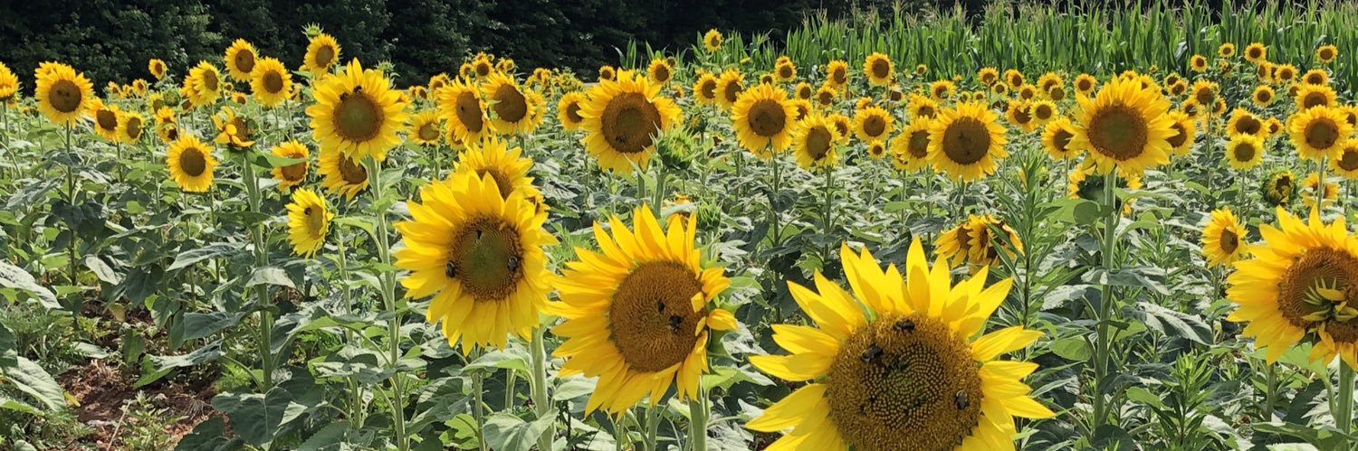Englebrightfarm's profile banner image