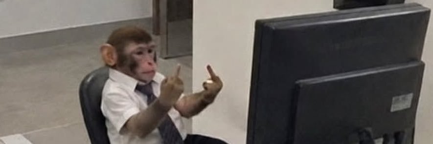 dudamedeirss's profile banner image