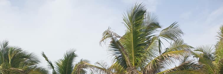 cyprian112's profile banner image
