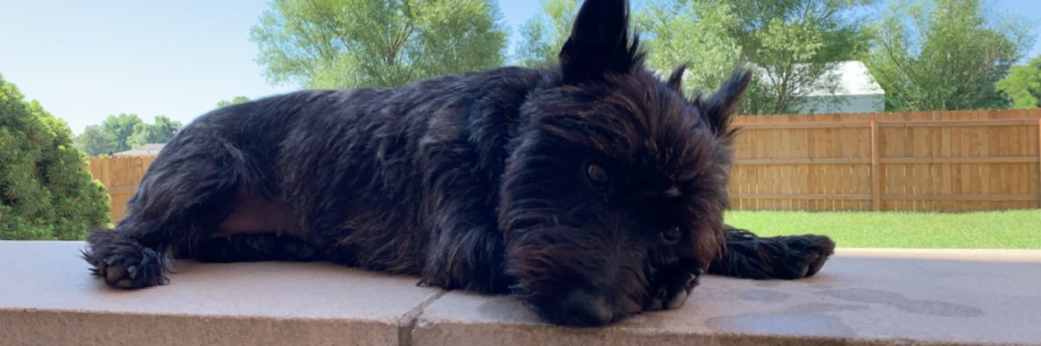 Nikole DeWitt banner