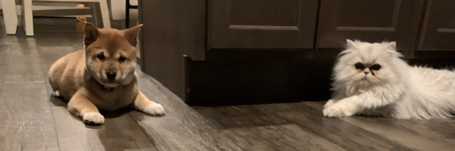 McKaylaHerm's profile banner image