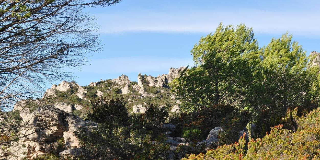 Véronique Delarue 🇨🇵🇺🇦 banner