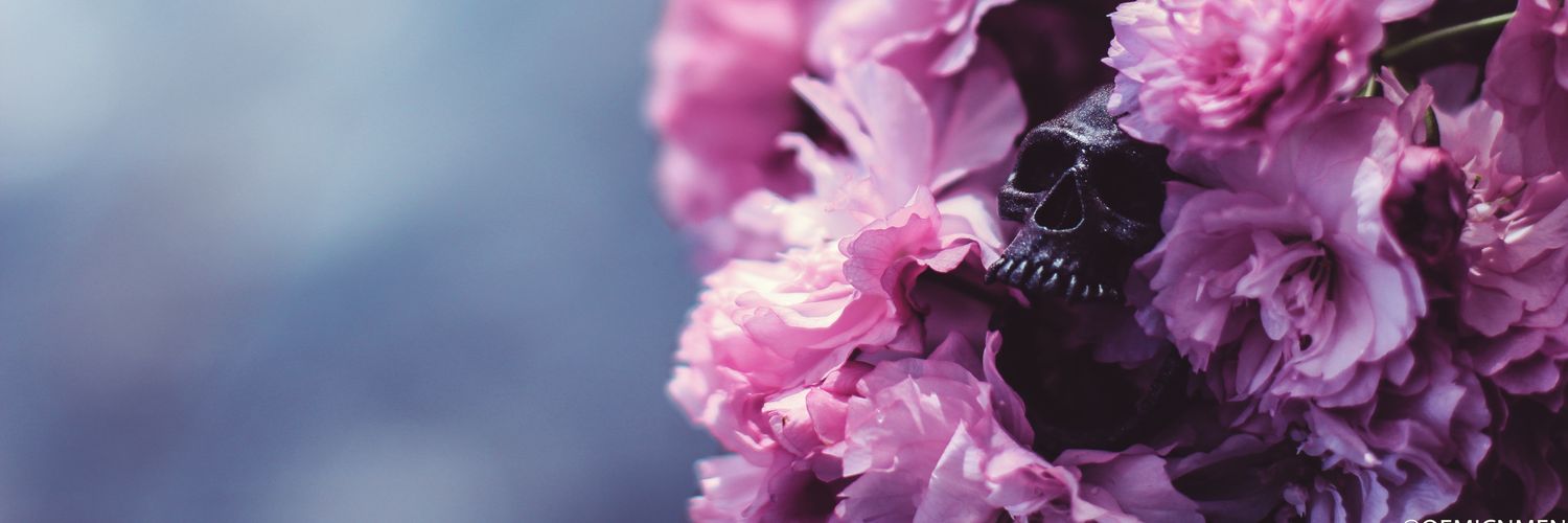 minimalmikee's profile banner image