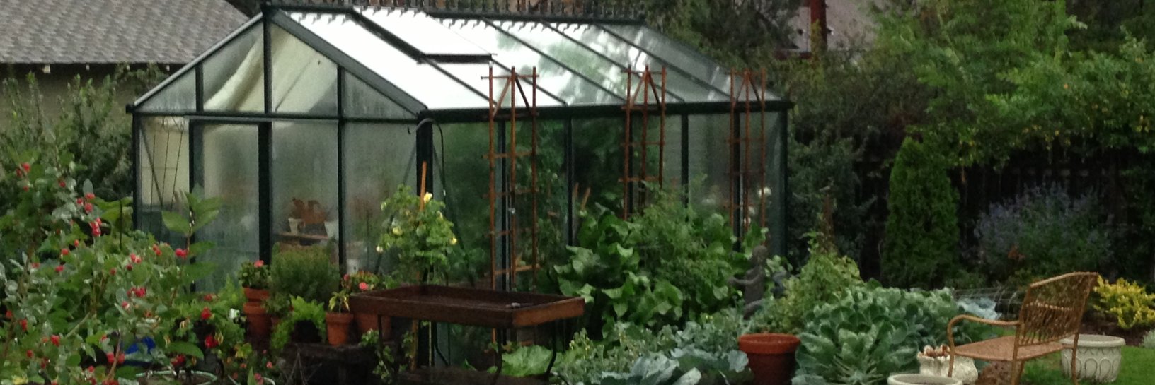 Shelley Jensen banner