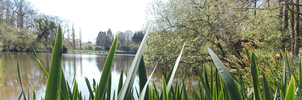 publicfishingfrance banner