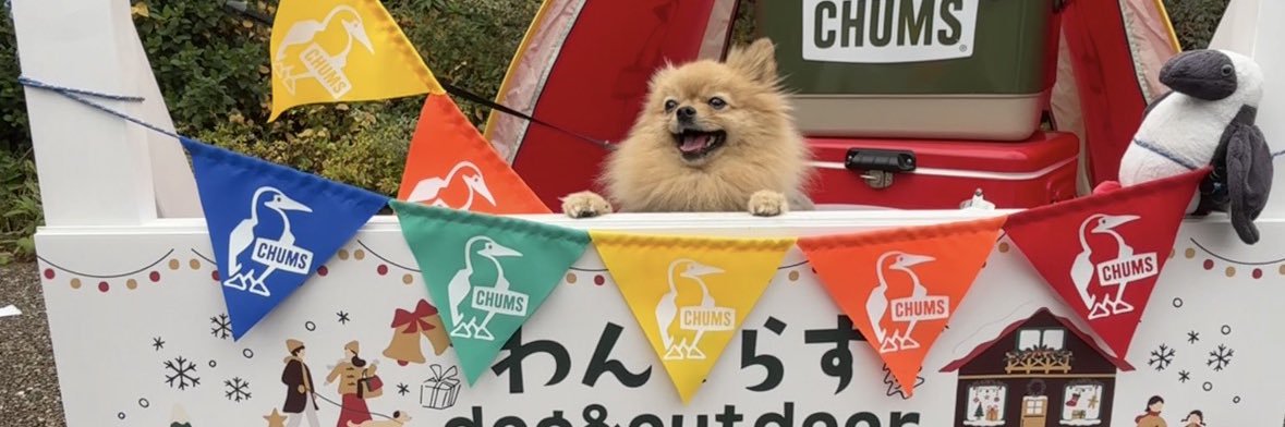 migeru_agent's profile banner image