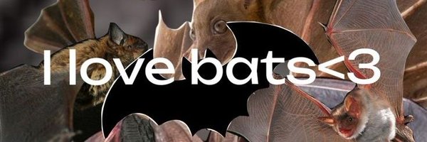 ZepStar26 Profile Banner