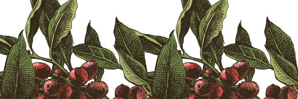 e_rits's profile banner image