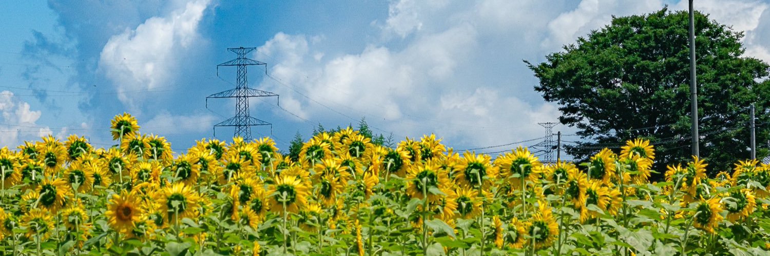 Nani 🐦 banner