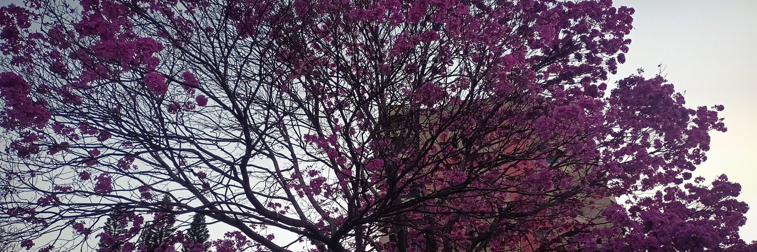 vanessarock33's profile banner image