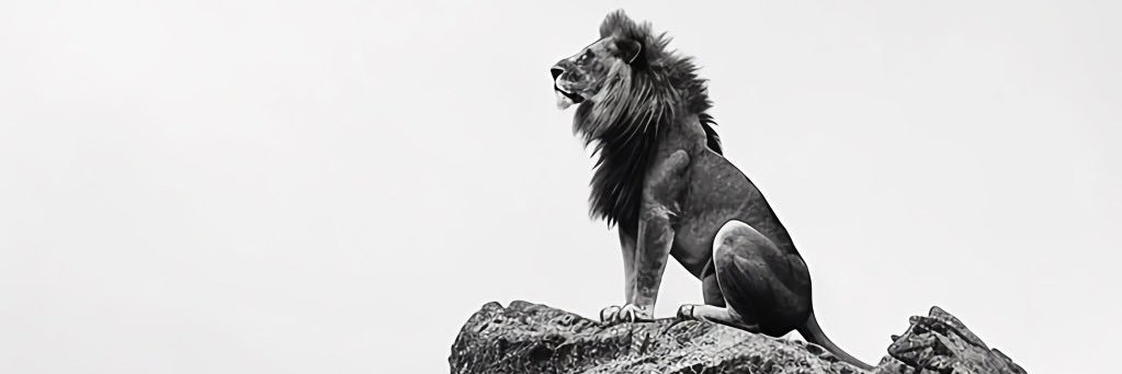 karimamir6's profile banner image