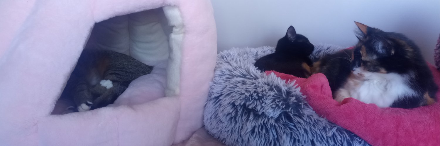 onionheadsIimer's profile banner image