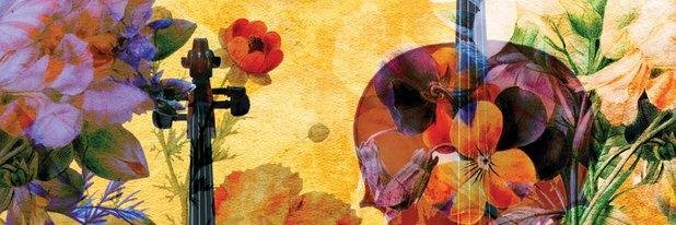 AMARISARI's profile banner image