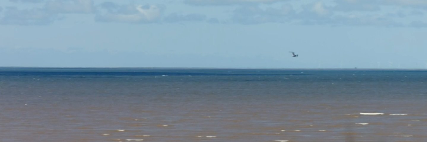 amyaahh's profile banner image