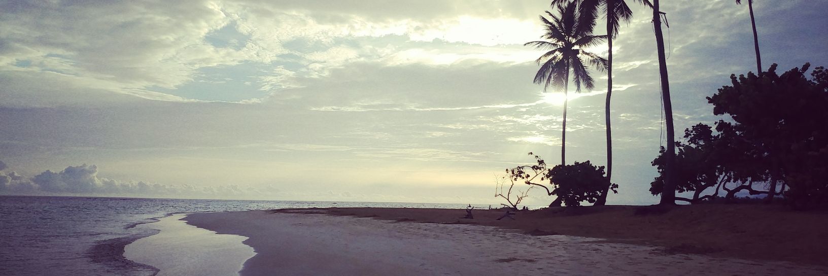 Javier Herrera banner