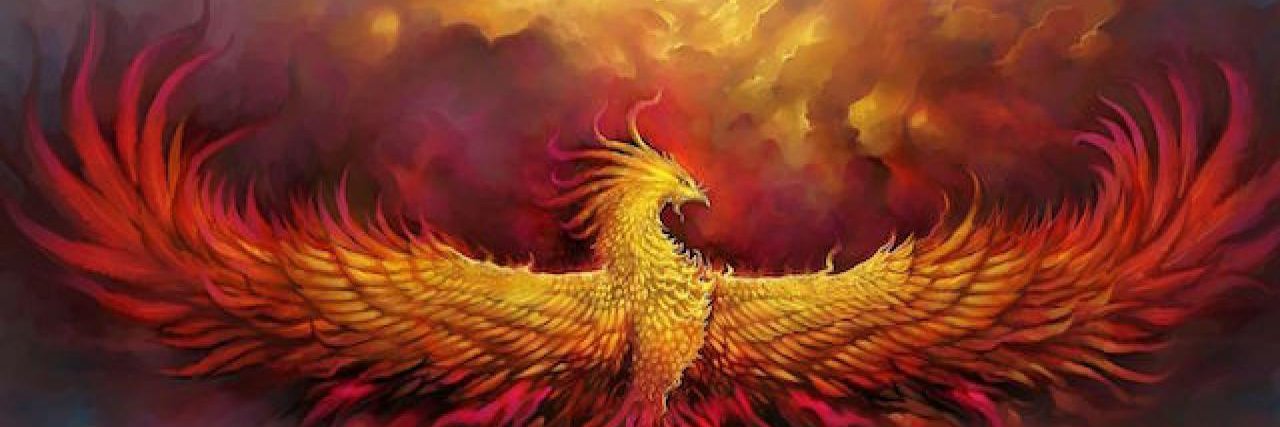 Amanda Michel banner