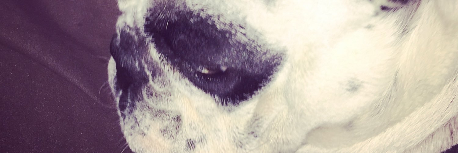 mrocco110's profile banner image