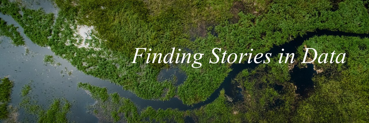 Dr Michelle Kalamandeen banner