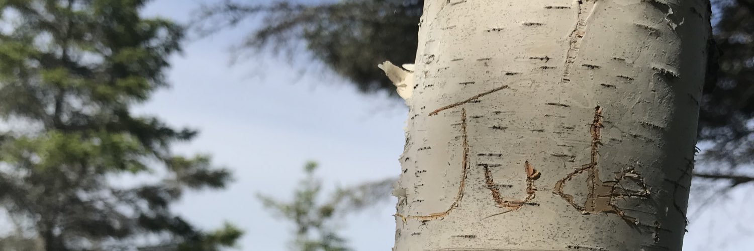 js banner