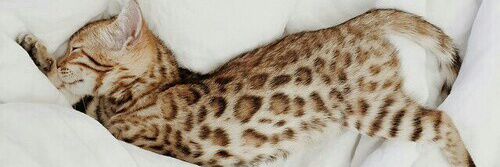 rimmm23's profile banner image