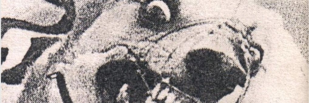 Gabbler123 banner
