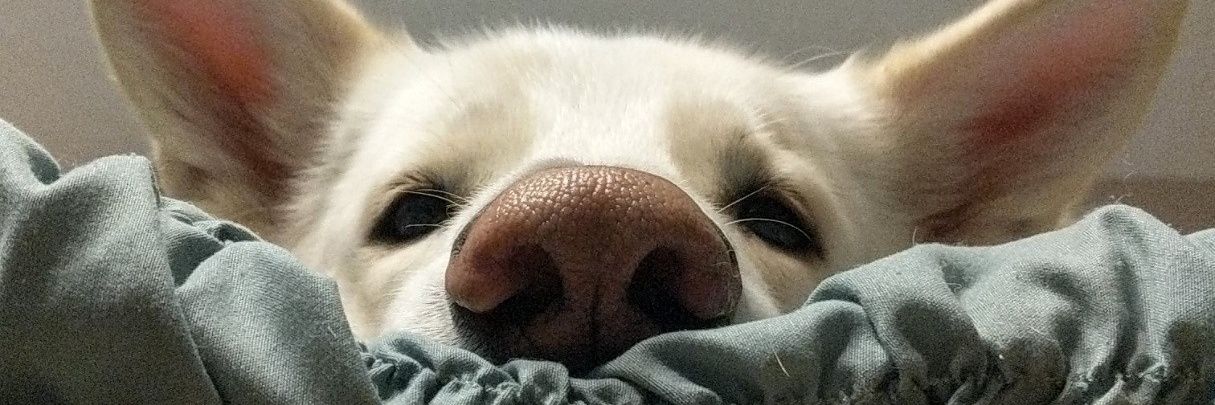 ErinLPeters's profile banner image