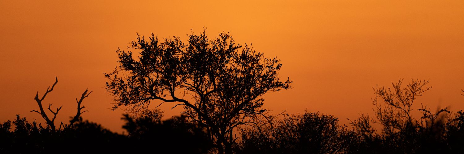 Zaphod Beebelbox banner