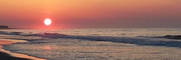 sas3531 Profile Banner