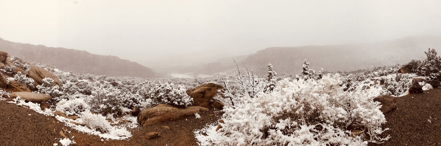 Rachel Fenske PhD, RD banner