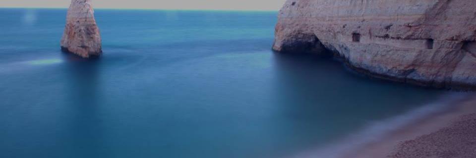 wild_bastinger's profile banner image